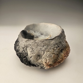 Photo of Shikha's work